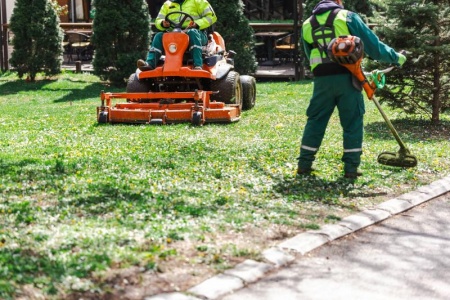 Comment choisir un paysagiste professionnel pour transformer votre espace extérieur ?
