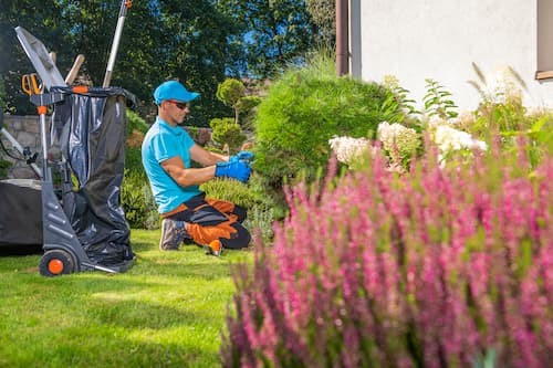 Entretien des plantes à Lagnieu, Leyment et Ambérieu-en-Bugey : Comment garder votre jardin florissant